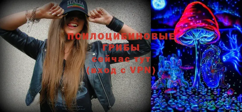 Галлюциногенные грибы Cubensis  Мосальск 